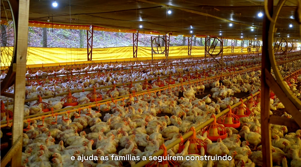 Diversificação no campo com energia de qualidade em Montauri