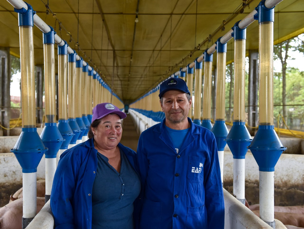 Família Debona investe na ampliação da propriedade com o Energia Forte no Campo