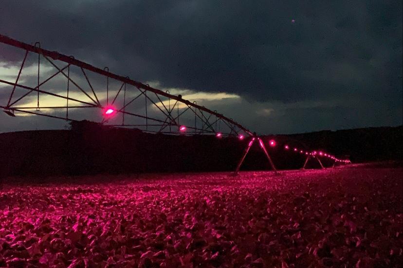 Primeiro pivô de irrigação com suplementação luminosa no RS conta com a energia da Coprel