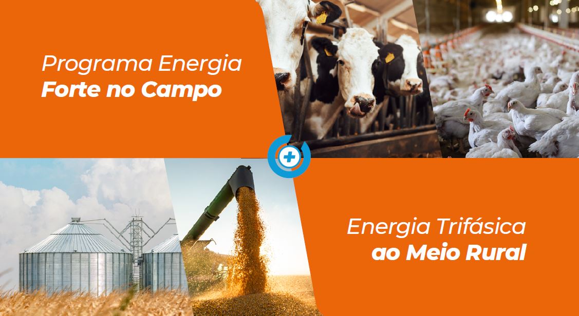 Programa Energia Forte no Campo leva redes trifásicas ao meio rural