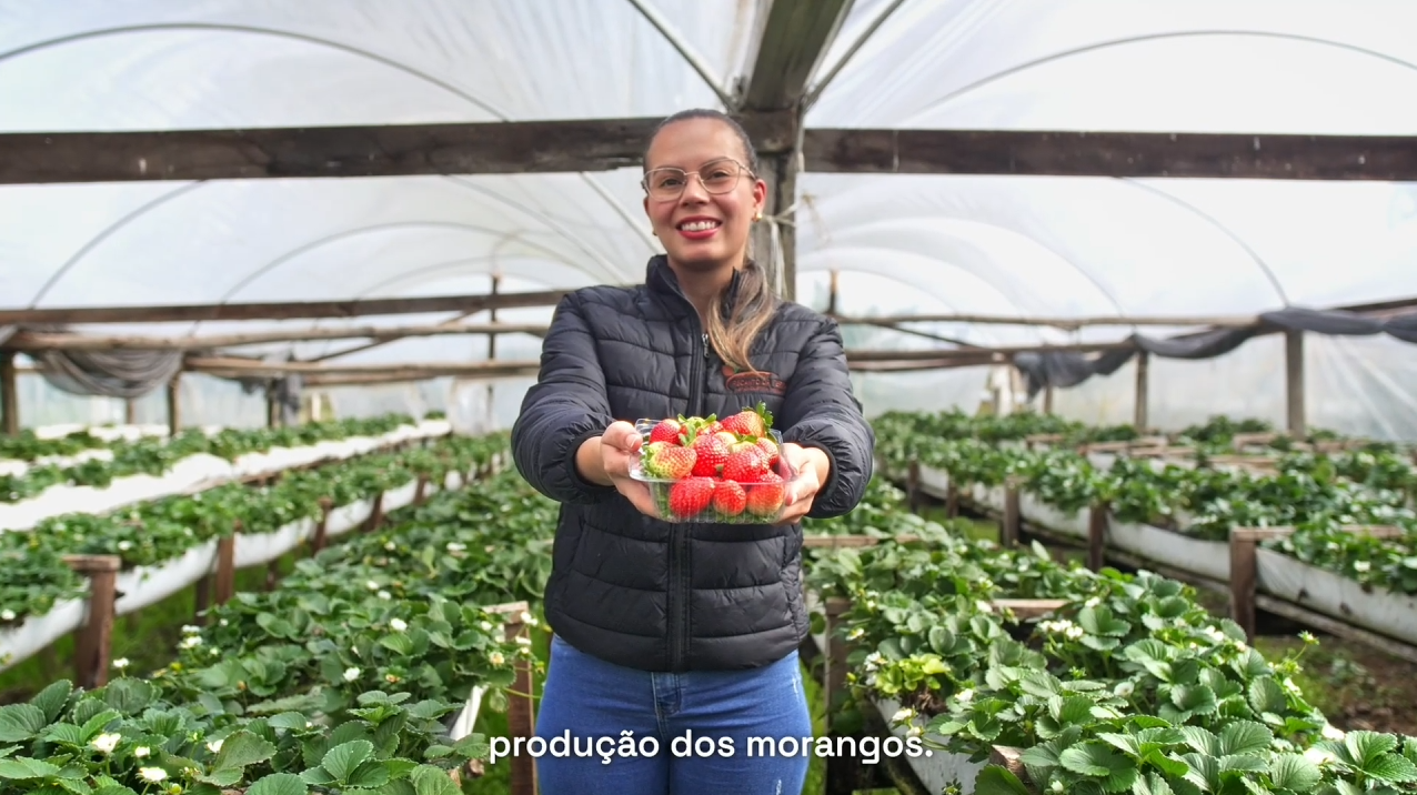 Energia que acompanha a sucessão familiar na agroindústria Recanto da Terra em Jóia 