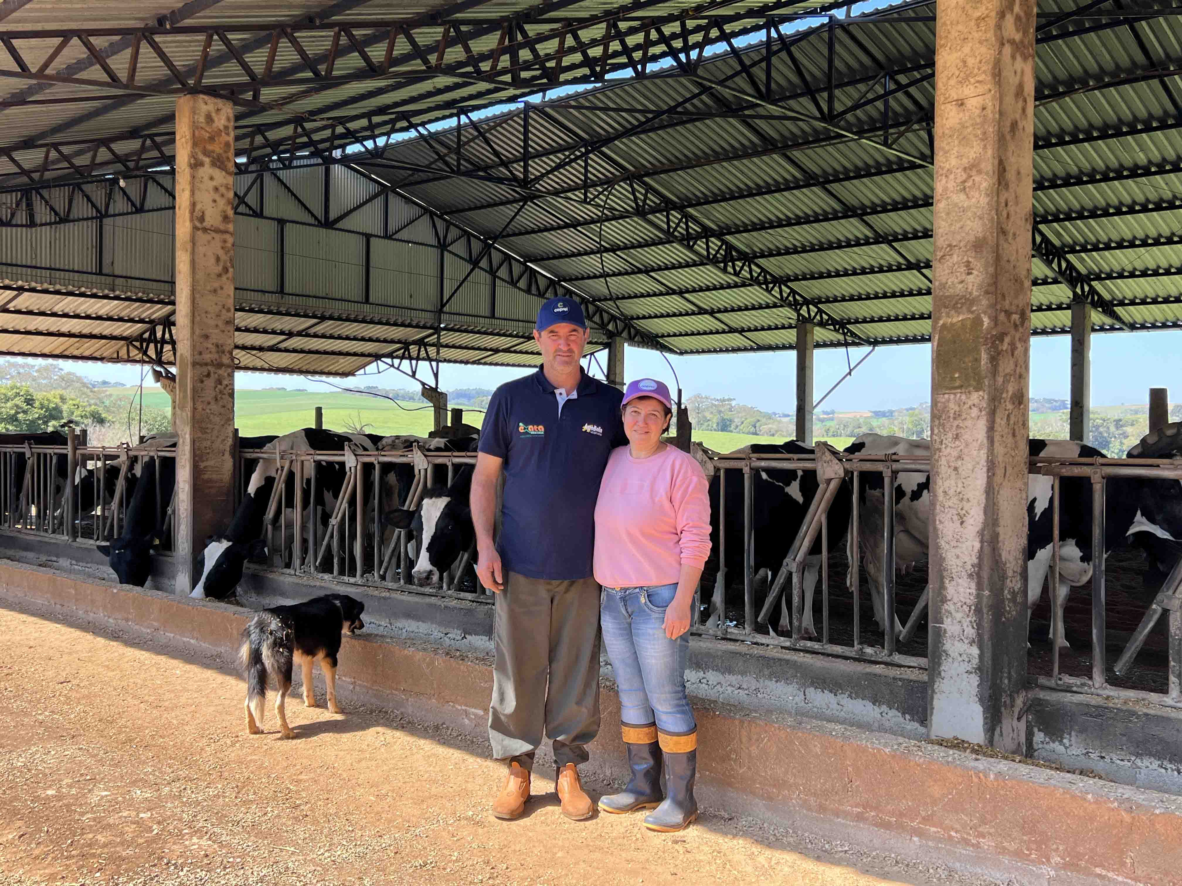 Família Pagote investe na propriedade rural com o programa Energia Forte no Campo em Sertão