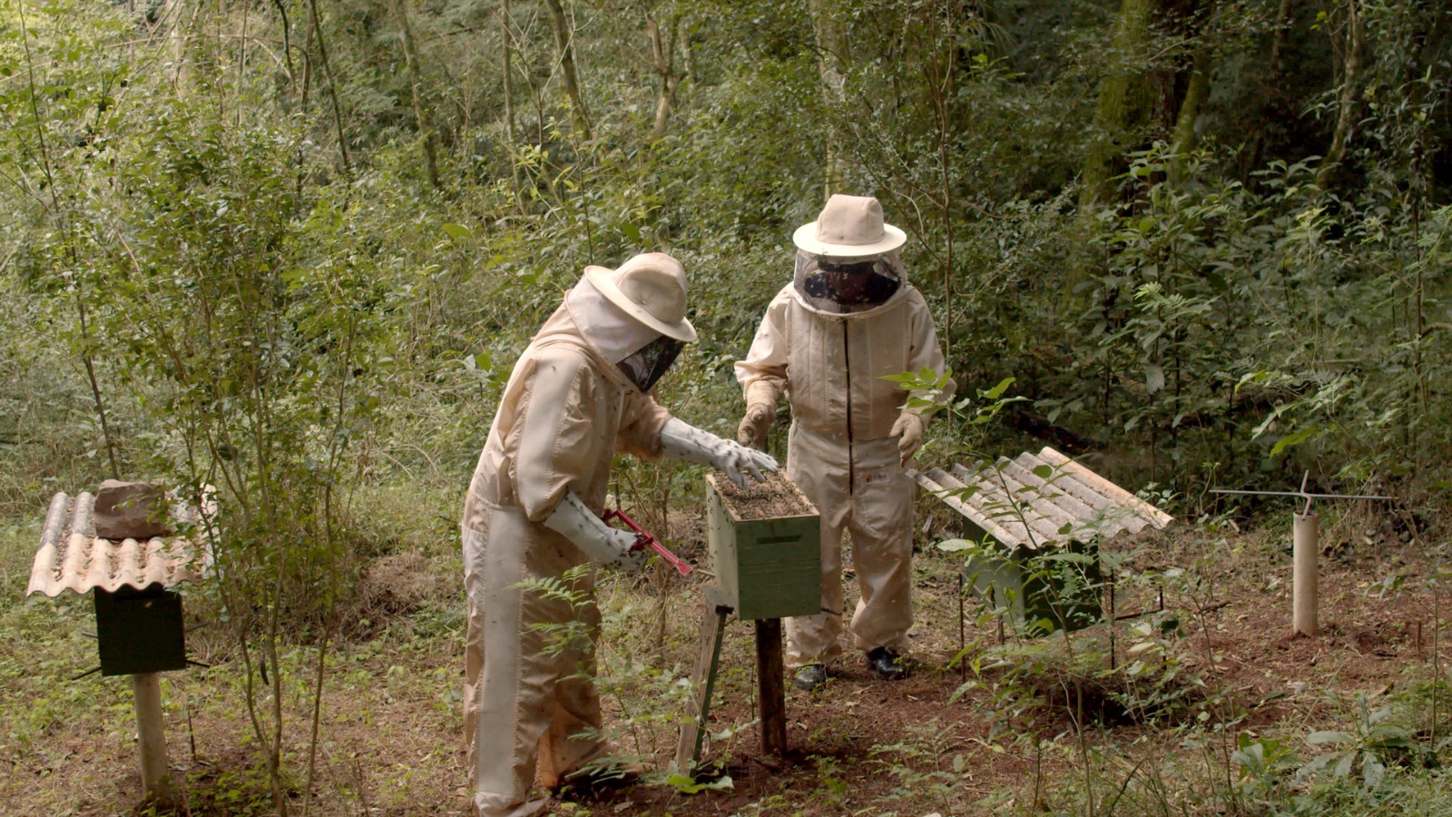 Coprel apoia projetos que garantem a sustentabilidade ao agronegócio