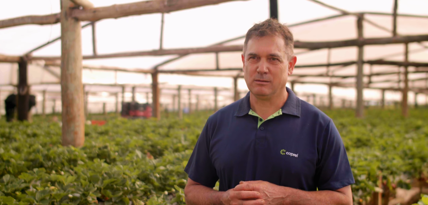 Energia Forte no Campo: resultados que geram economia