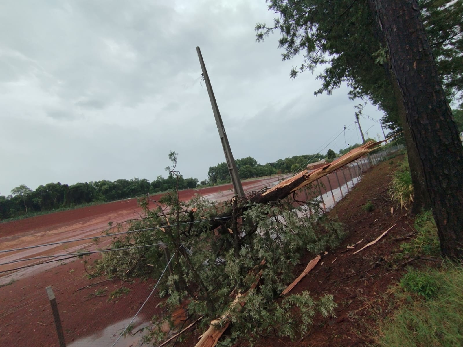 Temporal com fortes ventos causa interrupção do fornecimento de energia